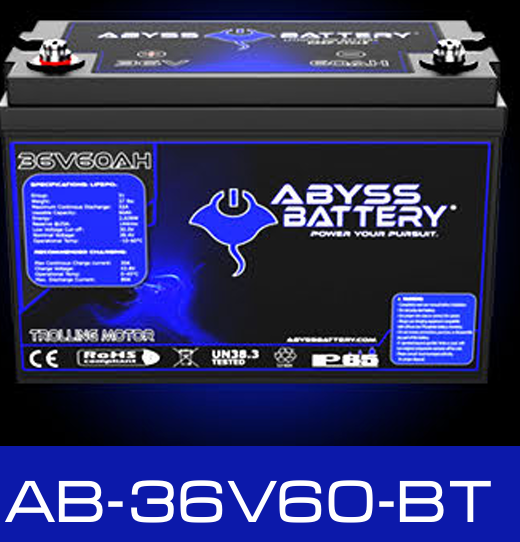 貝ページ ABYSS 36V BATTERY - Sea Swivel