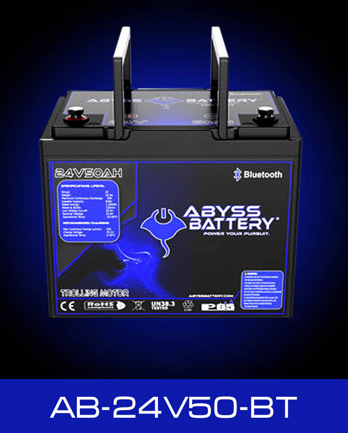 ABYSS 24V BATTERY 50-100AH