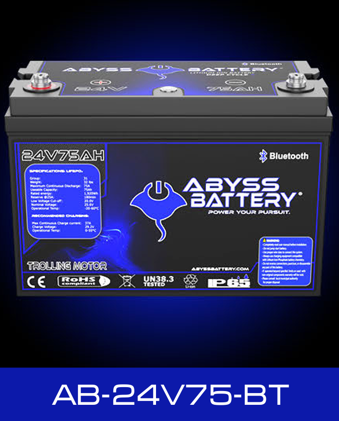 ABYSS 24V BATTERY 50-100AH